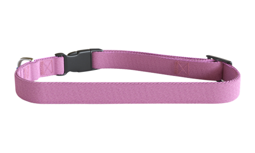 Rode geborduurde hondenhalsband, 30-46 cm, lichtgewicht nylon, personaliseerbaar met naam en details.