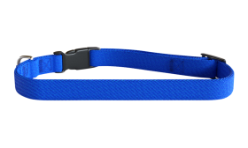 Collier chien brodé bleu, 30-46 cm x 1,5 cm, nylon léger, personnalisable avec nom et détails du chien.