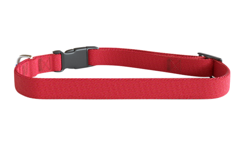Blauwe geborduurde hondenhalsband, 30-46 cm, lichtgewicht nylon, personaliseerbaar met naam en details.