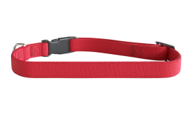 Geborduurde Hondenhalsband Blauwe geborduurde hondenhalsband, 30-46 cm, lichtgewicht nylon, personaliseerbaar met naam en details.