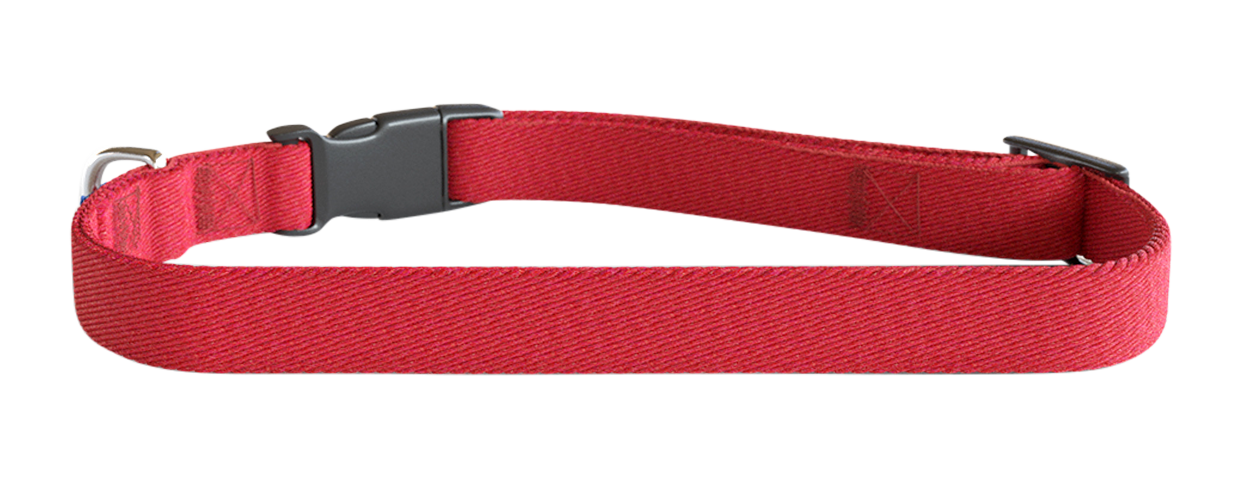 Collier pour Chien Brodé Collier chien brodé rouge, 30-46 cm x 1,5 cm, nylon léger, personnalisable avec nom et détails du chien.