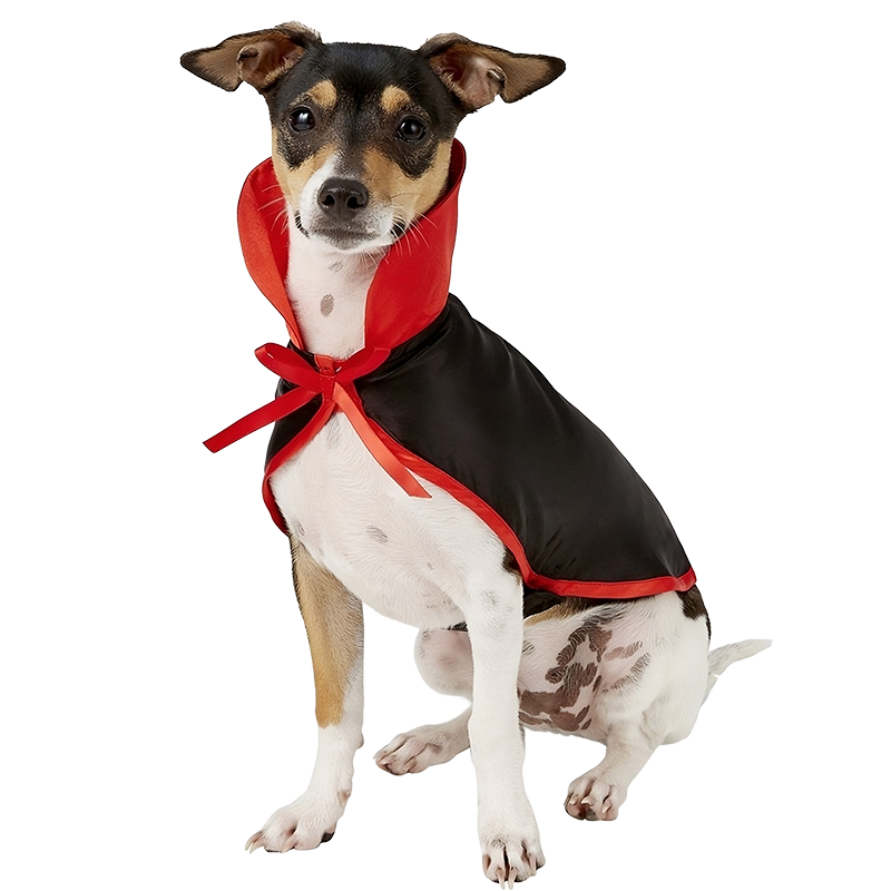 Costume de Vampire Chien pour Halloween Costume de vampire pour chien, noir et rouge, avec col haut et nœud, ensemble 2-en-1, léger, durable et réglable.