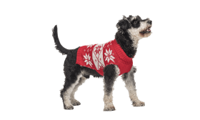 Pull d'Hiver à Motif pour Chiens Pull d'hiver rouge pour chien, motif flocon de neige blanc, lavable, en fibres acryliques pour un confort optimal et doux.