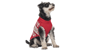 Pull d'Hiver à Motif pour Chiens Pull d'hiver rouge pour chien, motif flocon de neige blanc, lavable, offre chaleur et style festif unique.