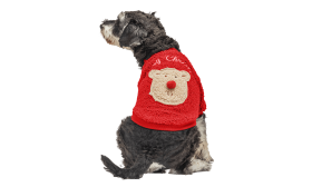 Manteau de Noël rouge pour chien avec boutons, design ours en peluche au dos, lavable, en polyester.