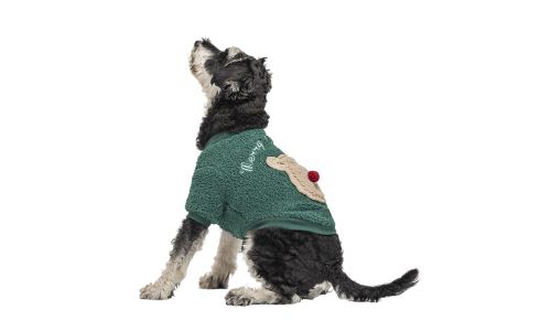 Manteau de Noël vert pour chien avec boutons, design ours en peluche au dos, lavable, pour l'hiver et l'automne.