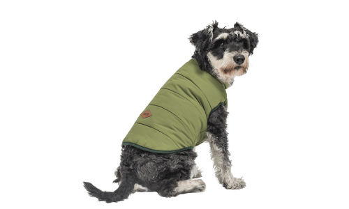 Gilet d'hiver vert coupe-vent pour chien, ajustement confortable, conçu pour la chaleur et la protection.