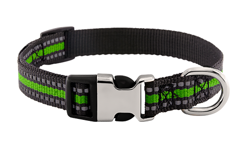 Reflecterende groene hondenhalsband met gegraveerde metalen gesp, 27-40 cm lang, 1.5 cm breed, met D-ringen voor riem.