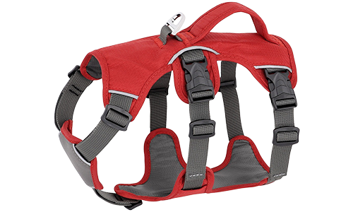 Harnais rouge étanche pour chien avec sangles ajustables, adapté à différents chiens, avec anneau argenté robuste.