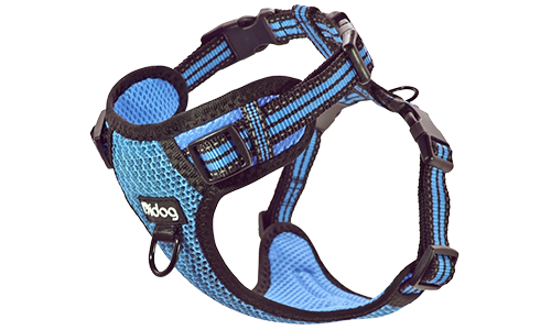 Harnais bleu en nylon respirant pour chien, avec boucle et sangles ajustables, ajustement parfait, durable.