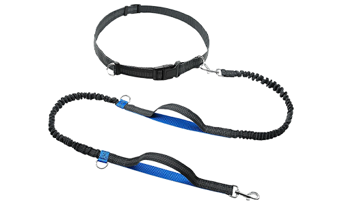 Laisse rétractable mains libres bleue pour chien, 70-120 cm, 2,5 cm de largeur, ceinture ajustable, poignées rembourrées.