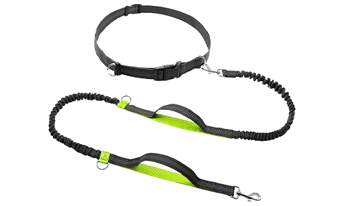 Laisse rétractable mains libres verte pour chien, 70-120 cm, 2,5 cm de largeur, ceinture ajustable, poignées rembourrées.