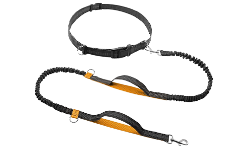 Laisse rétractable mains libres orange pour chien, 70-120 cm, 2,5 cm de largeur, ceinture ajustable, poignées rembourrées.
