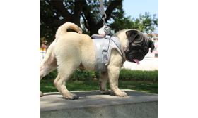 Zilveren reflecterende hondenharnas met riem, lichtgewicht, ademend voor comfort en veilige pasvorm.
