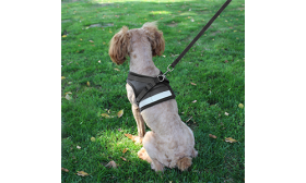 Zwarte reflecterende hondenharnas met bijpassende riem, lichtgewicht, ademend materiaal voor comfort en veilige pasvorm.