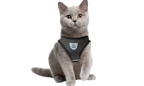 Reflecterend Kattenharnasvest met Bijpassende Riem Zwarte reflecterende kattenharnas met bijpassende riem, praktisch, ademend mesh stof en 120 cm lange riem.