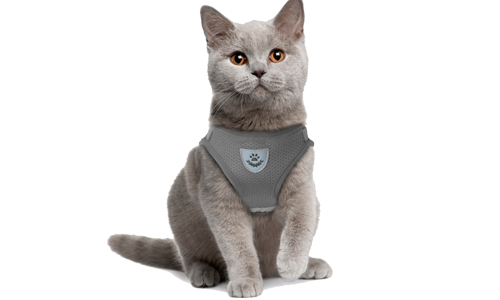 Reflecterend Kattenharnasvest met Bijpassende Riem Grijze reflecterende kattenharnas met bijpassende riem, praktisch, ademend mesh stof en 120 cm lange riem.