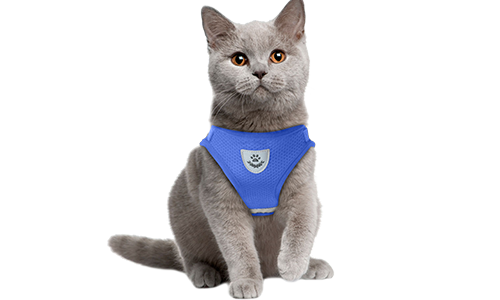 Reflecterend Kattenharnasvest met Bijpassende Riem Blauwe reflecterende kattenharnas met bijpassende riem, praktisch, ademend mesh stof en 120 cm lange riem.