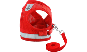 Gilet Harnais Réfléchissant pour Chat avec Laisse Harnais rouge réfléchissant pour chat avec laisse assortie, élégant et sans couture, polyvalent et pratique.