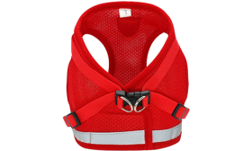 Gilet Harnais Réfléchissant pour Chat avec Laisse Harnais rouge réfléchissant pour chat avec laisse assortie, pratique, en maille respirante et laisse de 120 cm incluse.