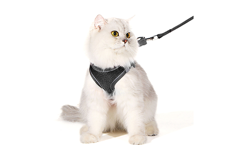Reflecterend Kattenharnas Vest Zwarte reflecterende kattenharnas met bijpassende riem, verstelbaar, lichtgewicht, 140cm riem, voor comfort en zichtbaarheid.