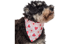Bedrukte Hart Hondenbandana Gedrukt hart hondenbandana voor honden, roze en witte ruitontwerp met rode hartpatronen, comfortabel om te dragen.