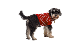 Pull à Motif Cœur pour Chiens Chien portant un pull rose cosy avec motifs de cœurs blancs, lavable en machine et à la main facilement.