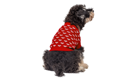 Pull à Motif Cœur pour Chiens Chien portant un pull rose cosy avec motifs de cœurs blancs, idéal pour les aventures en extérieur.
