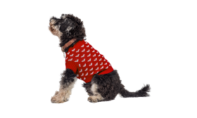 Pull à Motif Cœur pour Chiens Chien portant un pull rose cosy avec motifs de cœurs blancs, parfait pour la chaleur et le style élégant.