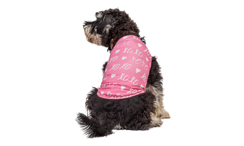 Chien portant un petit gilet rose thème Saint-Valentin avec cœur blanc et "XOXO", vêtement festif et stylé.