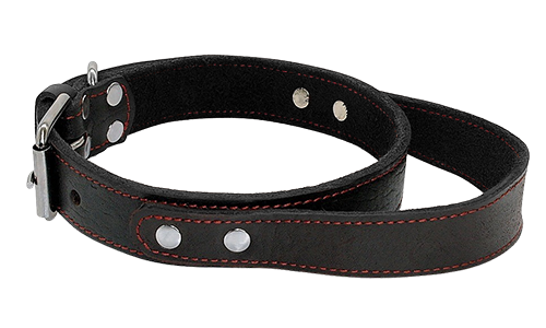 Collier chien en cuir véritable noir avec poignée rapide, durable et solide, boucle métal ajustable.