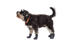 Set van vier sporthonden sokken in grijs met antislip zolen, lichtgewicht, gemakkelijk schoon te maken.