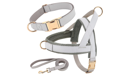 Kit harnais argenté pour chien avec collier et laisse assortis, léger, boucles dorées et D-ring pour durabilité.