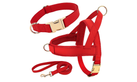 Rood hondenharnas kit met bijpassende halsband en riem, lichtgewicht, duurzaam, comfortabele en veilige pasvorm.