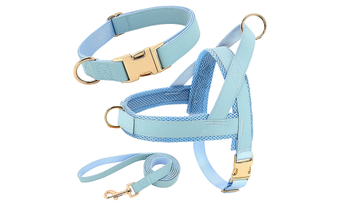 Kit harnais bleu clair pour chien avec collier et laisse assortis, léger, boucles dorées et D-ring pour durabilité.
