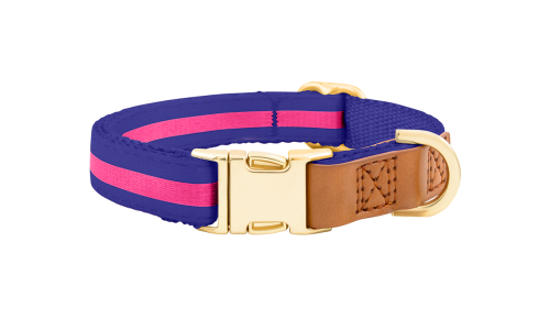 Collier chien bleu avec boucle métal dorée ajustable, 33-55 cm x 2 cm, avec anneau en D pour attacher la laisse.
