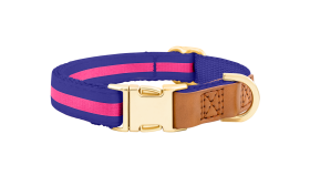 Collier pour Chien avec Boucle Collier chien bleu avec boucle métal dorée ajustable, 33-55 cm x 2 cm, avec anneau en D pour attacher la laisse.