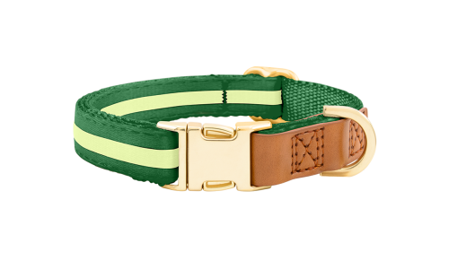 Collier chien vert avec boucle métal dorée ajustable, 27-40 cm x 1,5 cm, avec anneau en D pour attacher la laisse.