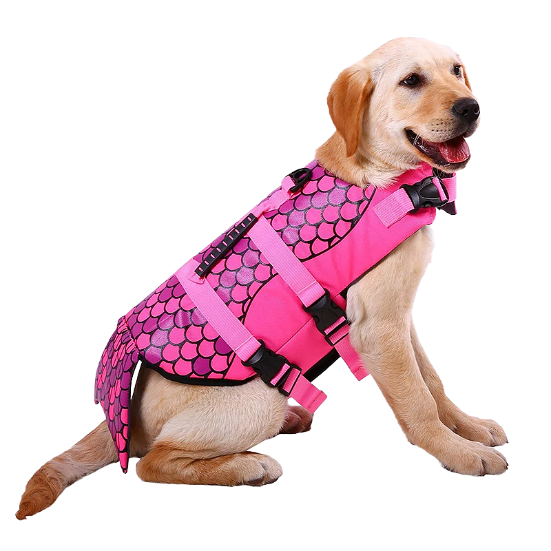 Gilet de Sauvetage Sirène pour Chien Gilet de sauvetage pour chien à thème sirène, sangles sécurisées, flottaison assurée. Convient à tous types de chiens.