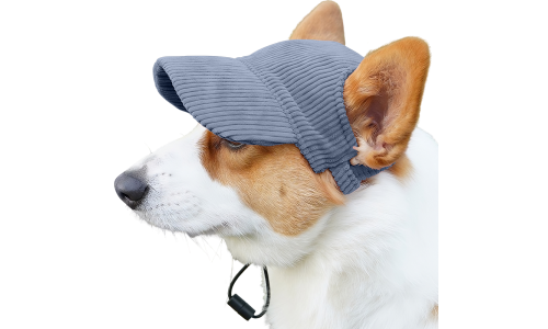 Corgi portant un chapeau de sport bleu respirant, léger, pour se protéger du soleil lors des sorties estivales.