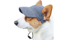 Casquette de Sport Respirante pour Chien pour l'Été Corgi portant un chapeau de sport bleu respirant, léger, pour se protéger du soleil lors des sorties estivales.