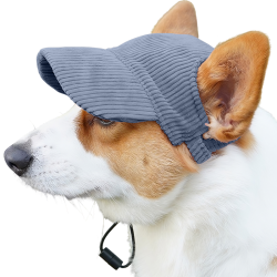 Corgi draagt een ademende blauwe honden sporthoed, lichtgewicht, ter bescherming tegen de zon tijdens uitjes.