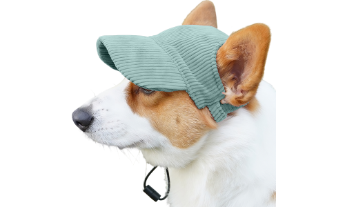 Corgi portant un chapeau de sport vert respirant, léger, pour se protéger du soleil lors des sorties d'été.