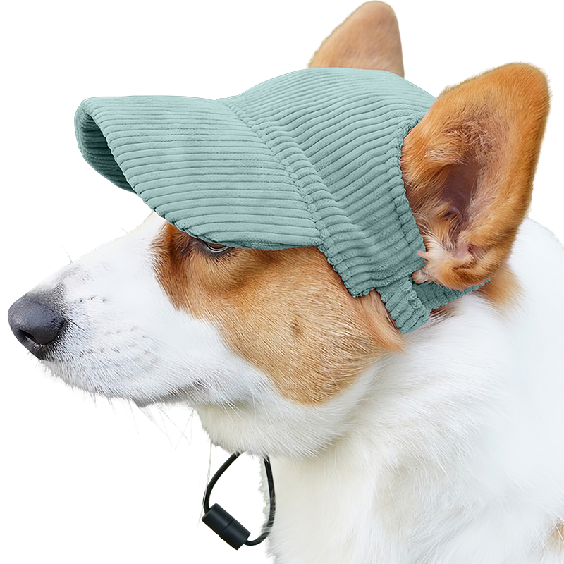 Ademende Honden Sportpet voor de Zomer Corgi draagt een ademende groene honden sporthoed, lichtgewicht, ter bescherming tegen de zon tijdens uitjes.