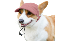 Corgi portant un chapeau de sport rose clair respirant, à la mode, en toile douce et confortable pour l'été.