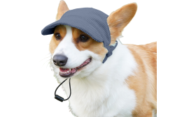 Casquette de Sport Respirante pour Chien pour l'Été Corgi portant un chapeau de sport bleu respirant, léger, en toile douce et vraiment confortable pour l'été.