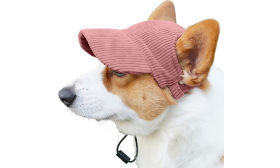 Corgi portant un chapeau de sport rose clair respirant, léger, pour se protéger du soleil lors des sorties d'été.