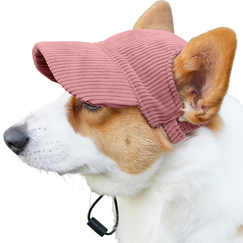 Ademende Honden Sportpet voor de Zomer Corgi draagt een ademende lichtroze honden sporthoed, lichtgewicht, ter bescherming tegen de zon tijdens uitjes.