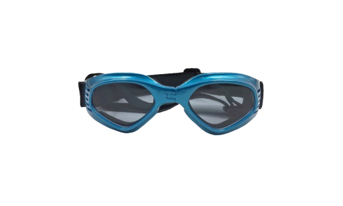Lunettes de soleil bleues pour chien, protection UV, verres teintés, look stylé, idéales pour les aventures.