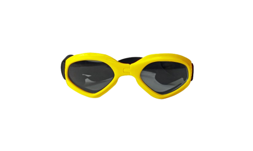 Lunettes de soleil jaunes pour chien, protection UV, verres teintés, look stylé, idéales pour les aventures.